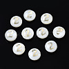 Natural Freshwater Shell Beads SHEL-N003-20-02-1