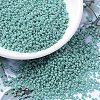 MIYUKI Round Rocailles Beads X-SEED-G007-RR0481-4
