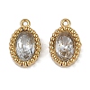 Ion Plating(IP) 304 Stainless Steel Micro Pave Cubic Zirconia Charms STAS-K256-19G-03-1