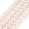 Natural Cultured Freshwater Pearl Beads Strands PEAR-C003-12I-2