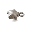 304 Stainless Steel Charms STAS-D310-06P-05-2