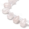 Natural Rose Quartz Beads Strands G-Q167-A05-02-3