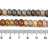Natural Gemstone Beads Strands G-F513-04-4