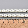 Baking Paint Pearlized Glass Pearl Bead Strands X-HY-T002-01A-02-4