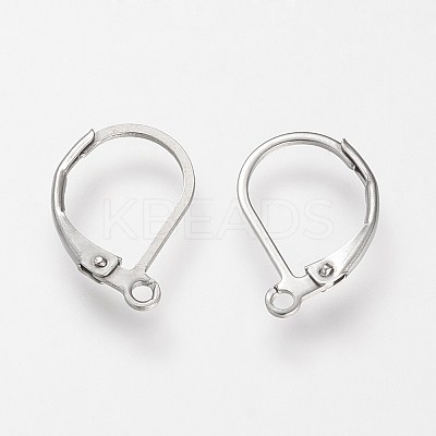 Tarnish Resistant 304 Stainless Steel Leverback Earring Findings LS-STAS-S066-13-1