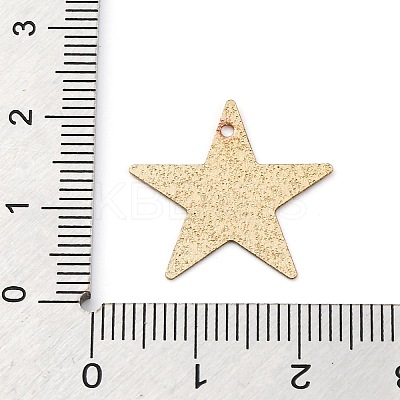 Geometric Alloy Sheet Printed Pendant Earrings Accessories PALLOY-E139-01G-01-1