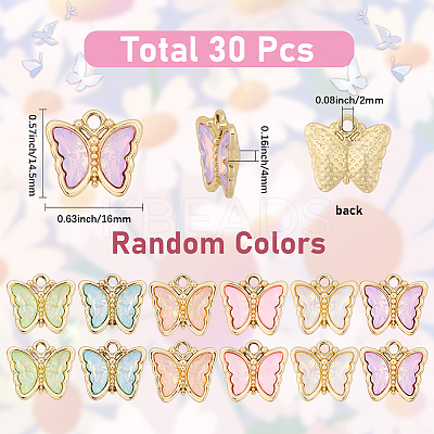 30Pcs Glass Pendants FIND-SC0015-11-1