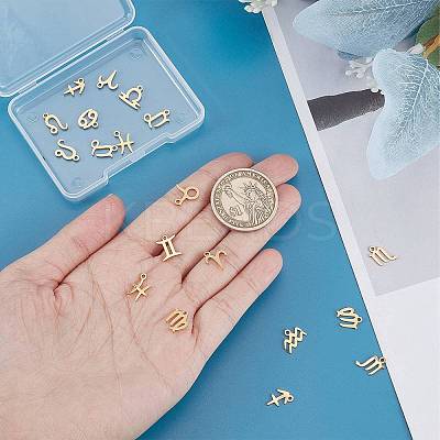 24Pcs 12 Style 12 Constellations Manual Polishing 304 Stainless Steel Charms STAS-SC0004-55-1