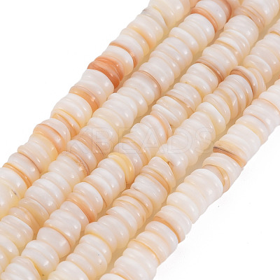 Natural Freshwater Shell Beads Strands SHEL-T018-31-1