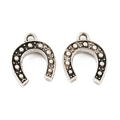 Tibetan Style Alloy Pendants TIBE-P001-14AS-1