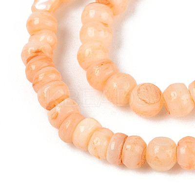 Natural Freshwater Shell Dyed Beads Strands SHEL-T020-29A-07-1