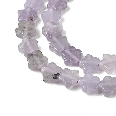 Natural Lepidolite/Purple Mica Stone Beads Strands G-B138-C18-01-1