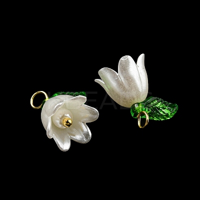 Acrylic Pendants OACR-D012-01C-1
