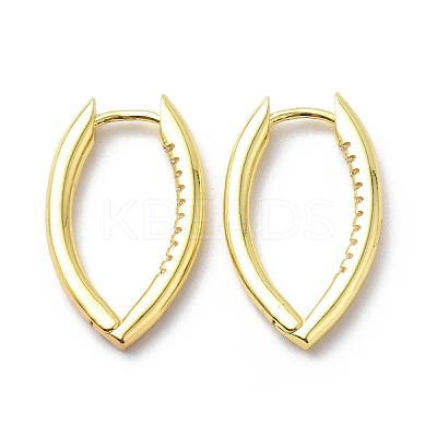 Clear Cubic Zirconia Horse Eye Hoop Earrings EJEW-G333-03G-1
