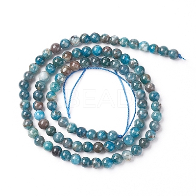 Natural Apatite Beads Strands LS-G-L554-01-4mm-1