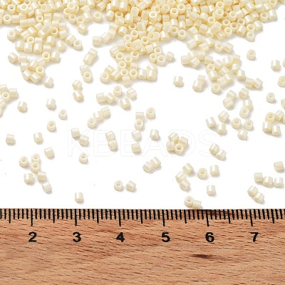 Baking Paint Glass Seed Beads X-SEED-S042-15B-25-1