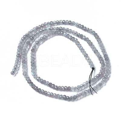 Natural Labradorite Beads Strands X-G-F596-07-1