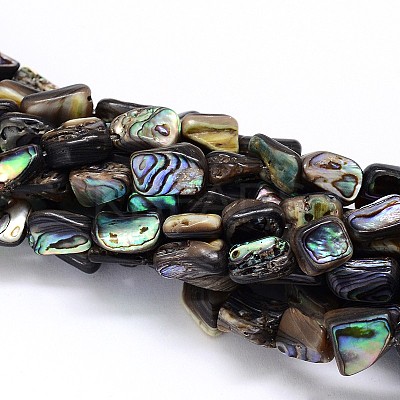 Natural Paua Shell Beads Strands SSHEL-J047-03-1