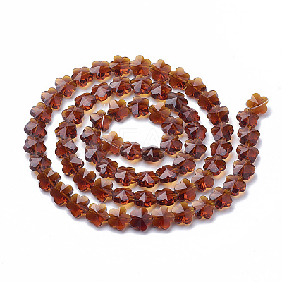 Transparent Glass Beads GLAA-Q066-10mm-C04-1