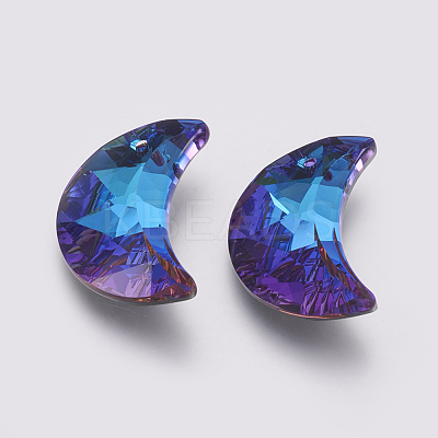 K9 Glass Rhinestone Pendants X-GLAA-K034-G04-1