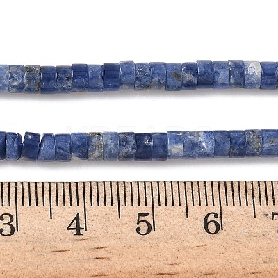 Natural Sodalite Beads Strands G-P468-19-1
