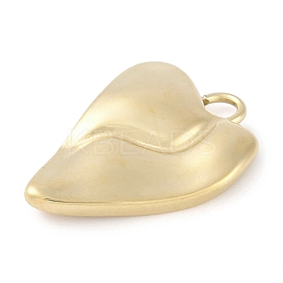 Ion Plating(IP) 304 Stainless Steel Pendants STAS-P366-73G-1