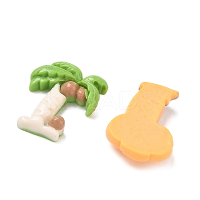 Summer Tropical Theme Opaque Resin Cabochons RE-CBAE4BE-02-1
