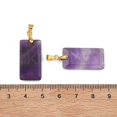 Natural Amethyst Faceted Pendants G-L623-03G-06-1