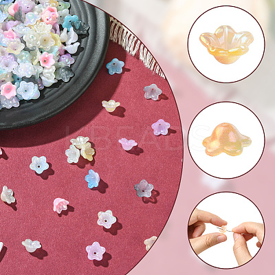 480Pcs 12 Colors Acrylic Bead Caps OACR-SC0002-31-1