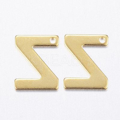 304 Stainless Steel Charms X-STAS-P141-Z-1