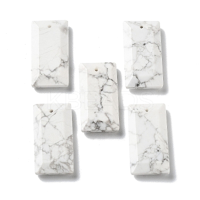 Natural Howlite Pendants G-G063-01H-1