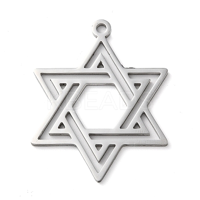Non-Tarnish 304 Stainless Steel Pendants LS-STAS-R116-01P-1