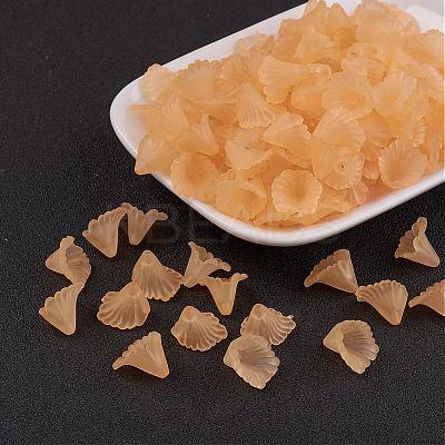 Transparent Acrylic Beads PL622-C06-1