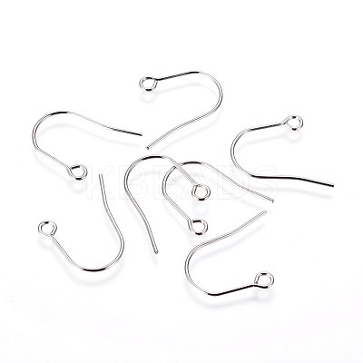 Tarnish Resistant 316 Surgical Stainless Steel Earring Hooks X-STAS-F216-03P-B-1