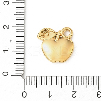 304 Stainless Steel Pendants STAS-F327-02B-G-1