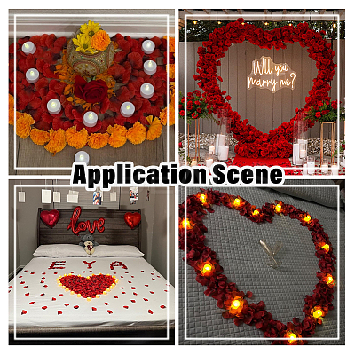 100G Satin Artificial Rose Petals DIY-SP0005-68H-1