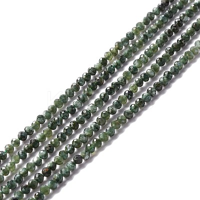 Natural Seraphinite Beads Strands G-A021-07B-1