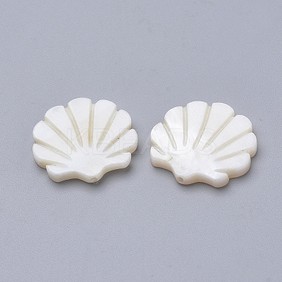 Natural Freshwater Shell Beads LS-X-SHEL-T007-02-1