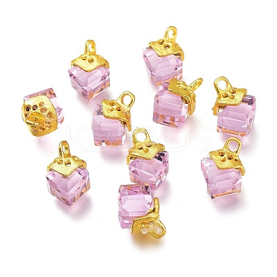 Transparent Glass Pendants LS-GLAA-H100-01G-1