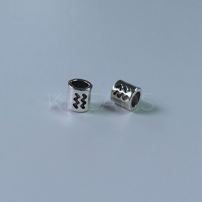 Tibetan Style Alloy European Beads FIND-WH0111-50F-1