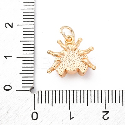 Brass Enamel Pendants KK-D360-15G-1