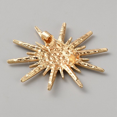 Alloy Rhinestone Lapel Pins for Clothes JEWB-WH0056-005G-1