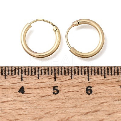 Brass Hoop Earrings EJEW-G474-01G-01-1