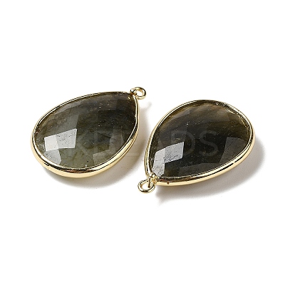 Faceted Natural Labradorite Pendants X-G-M356-B02-LG-1