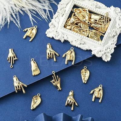30Pcs 5 Styles Alloy Rhinestone Pendants FIND-CJ0002-42-1