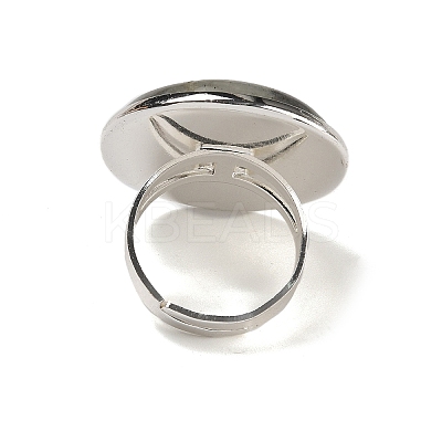 Natural Labradorite Round Adjustable Rings RJEW-K371-09S-15-1