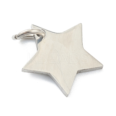 Tarnish Resistant (Defective Closeout Sale: Scratches)304 Stainless Steel Charms LS-STAS-XCP0001-34-1