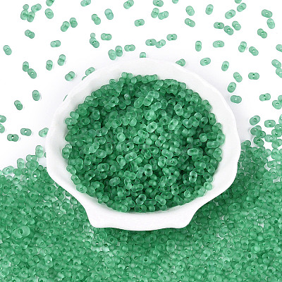 FGB Frosted Transparent Glass Seed Beads SEED-N013-06A-09-1