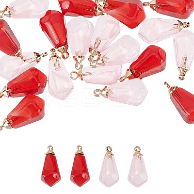 10Pcs 2 Colors Transparent Resin Pendants RESI-FP0001-40-1