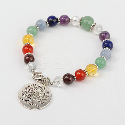 Multi-Color Gemstone Chakra Charm Bracelets BJEW-JB01691-1